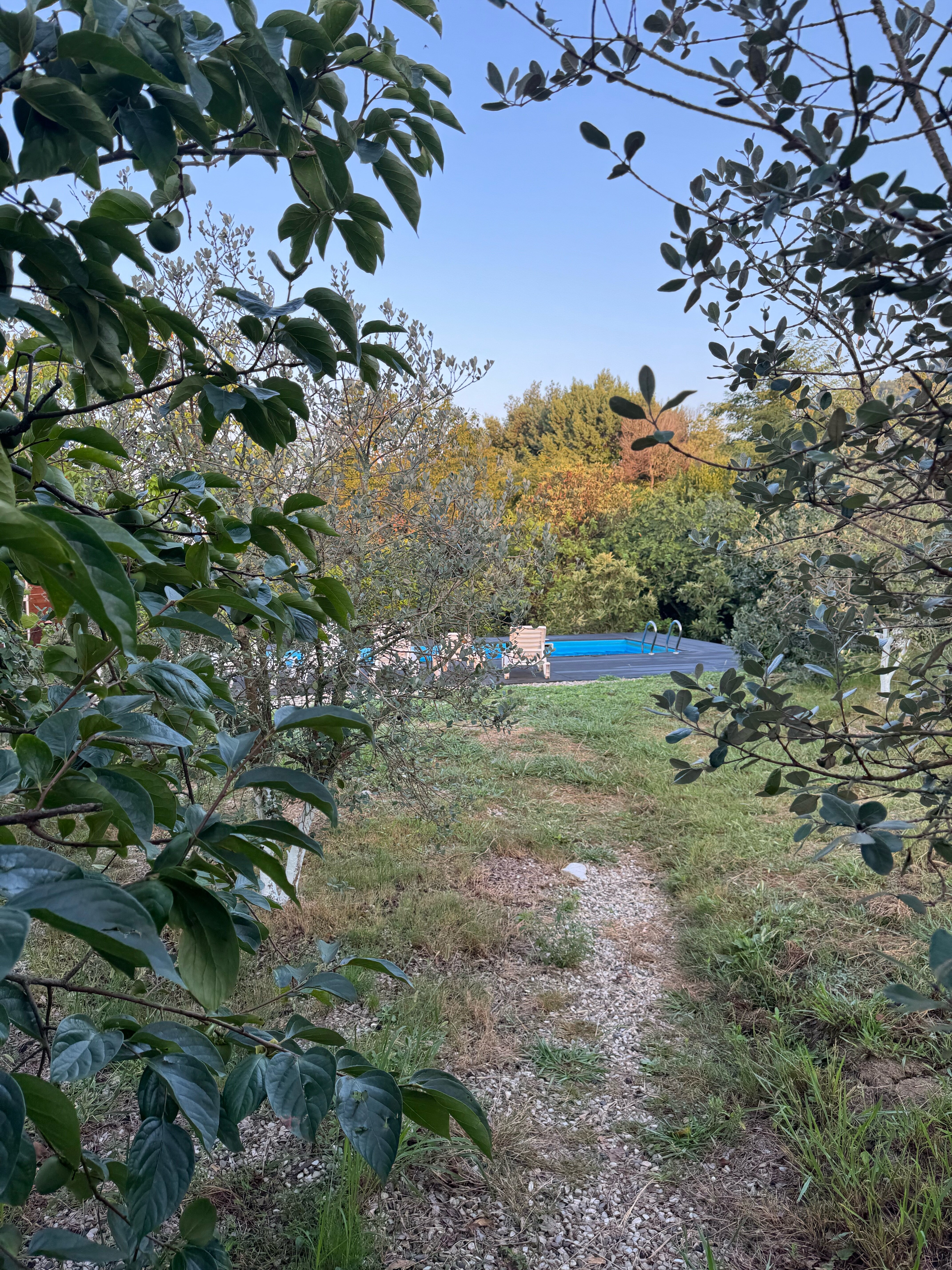 Фото Barn Haus Kumkvat