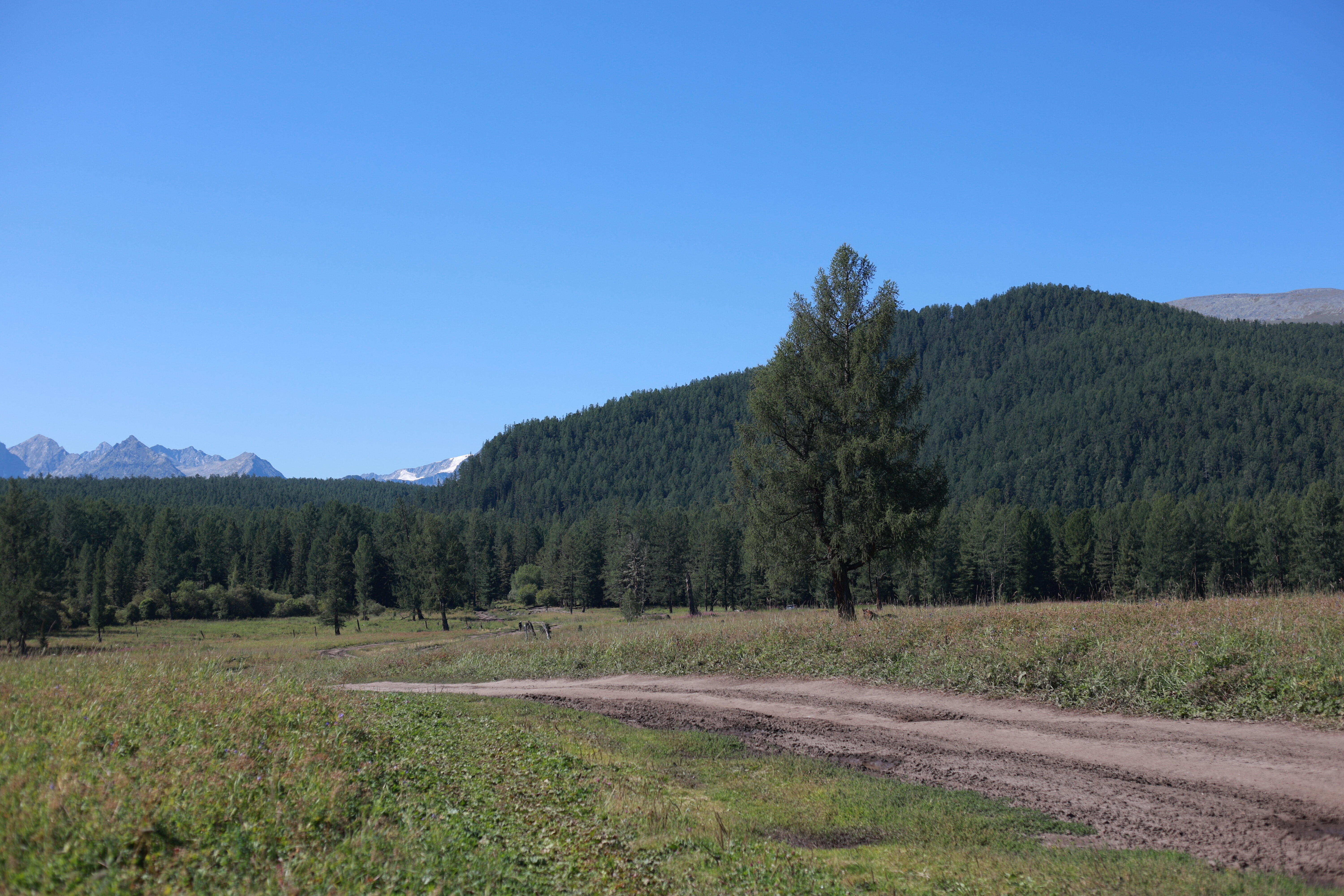 Фото Синегорье