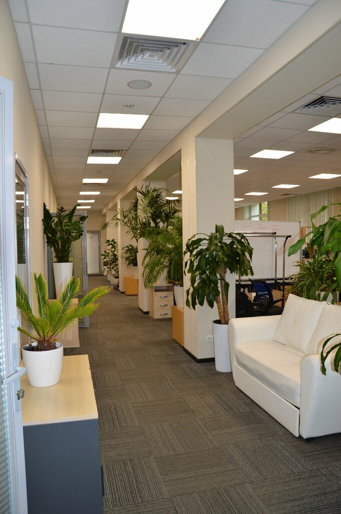 Business consulting Ros Licensing, Moscow, photo