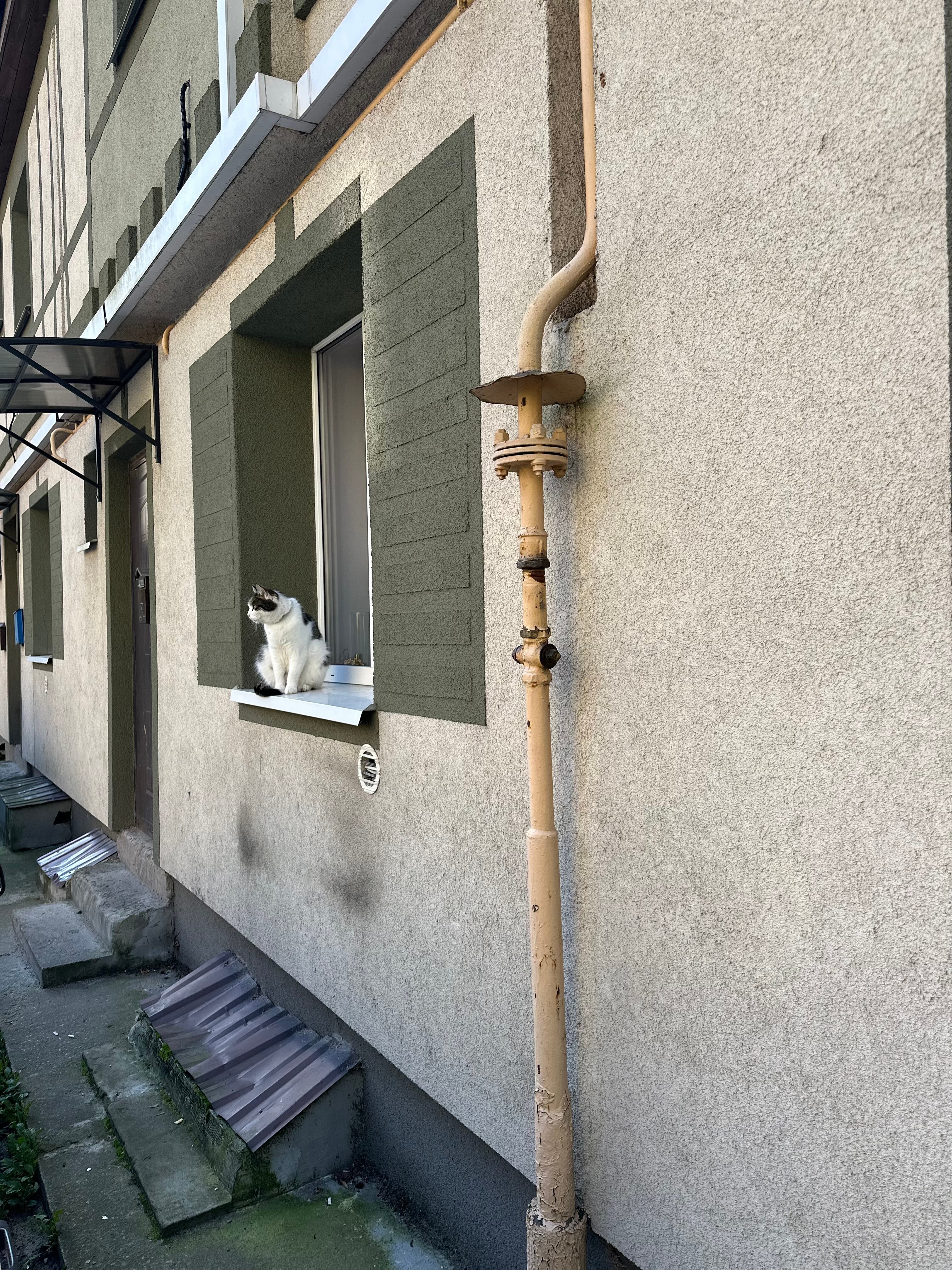 Фото Альтхоф