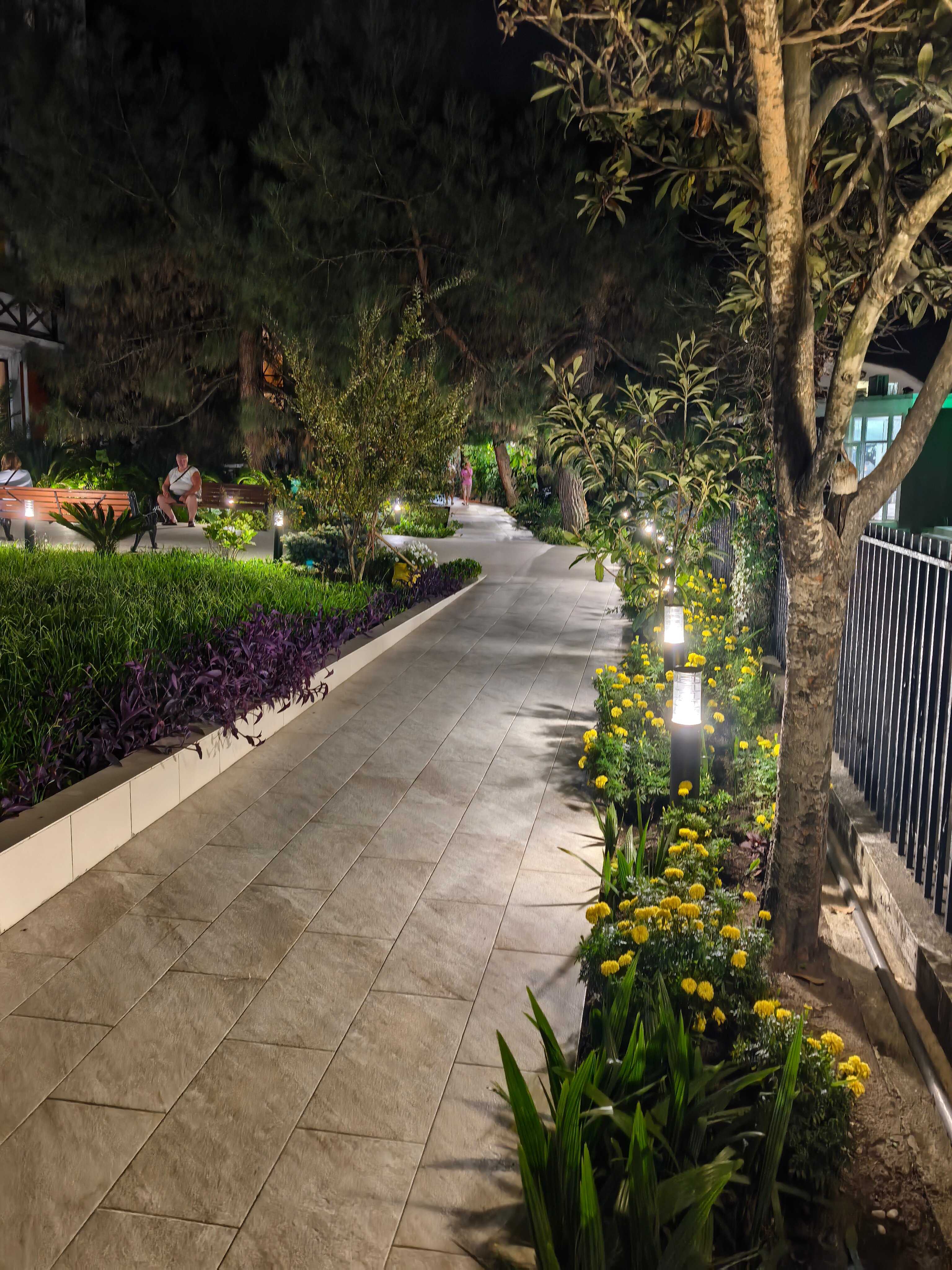 Фото Апсара