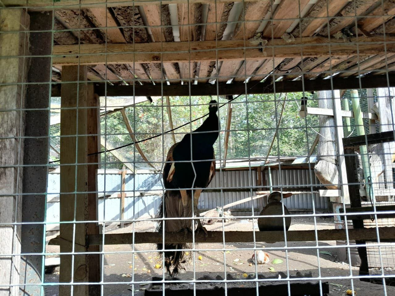 Фото Зеленый мыс