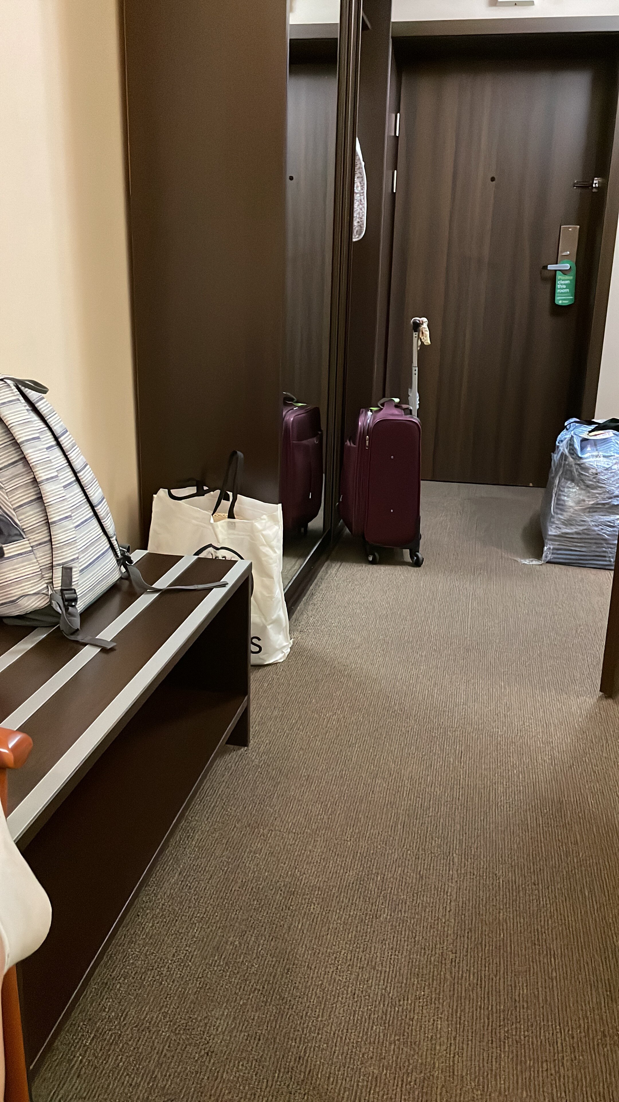 Фото Гостиничный комплекс Домодедово