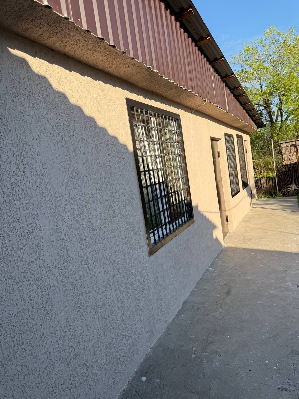 Фото Орхидея