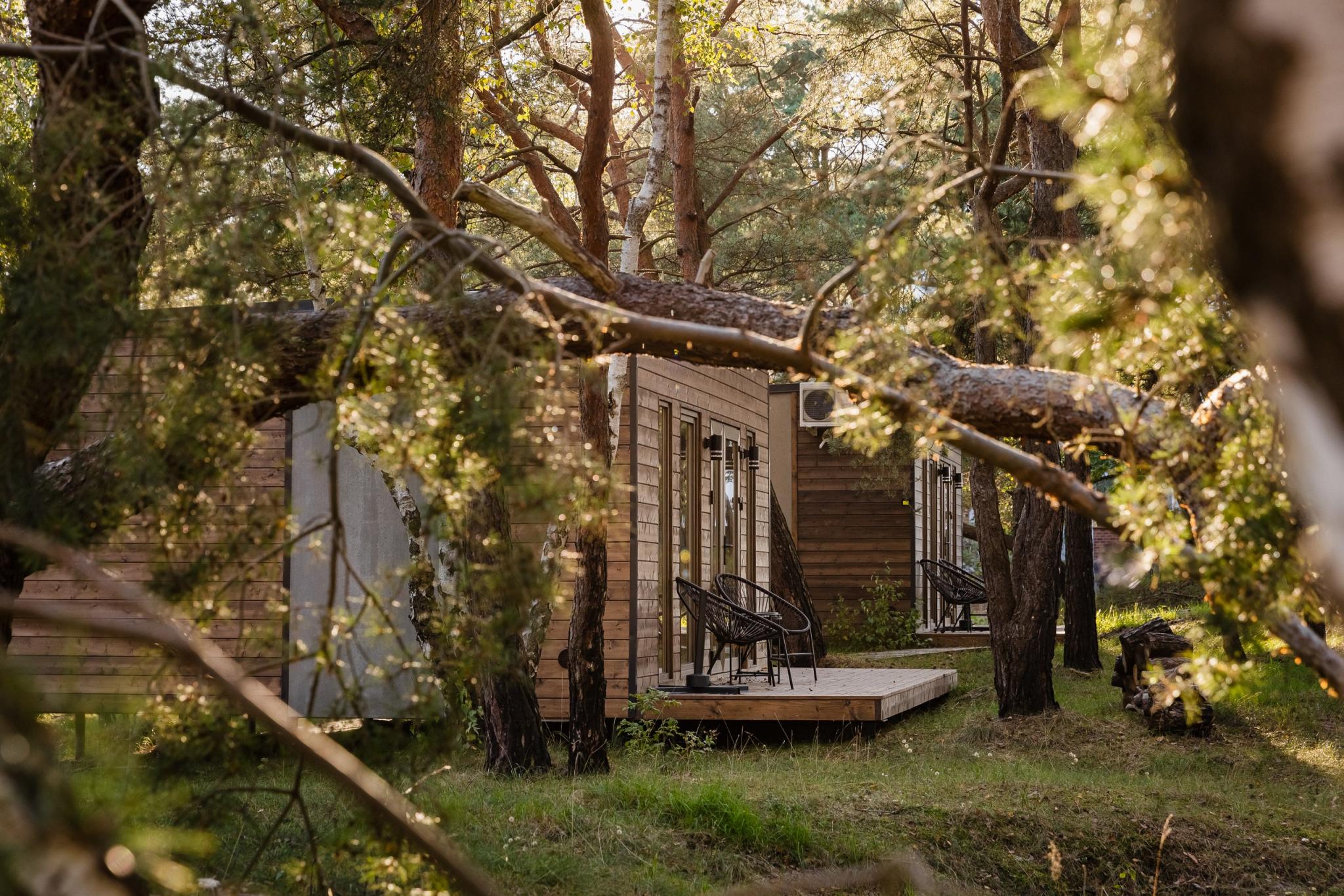 Фото Балтийские Холмы