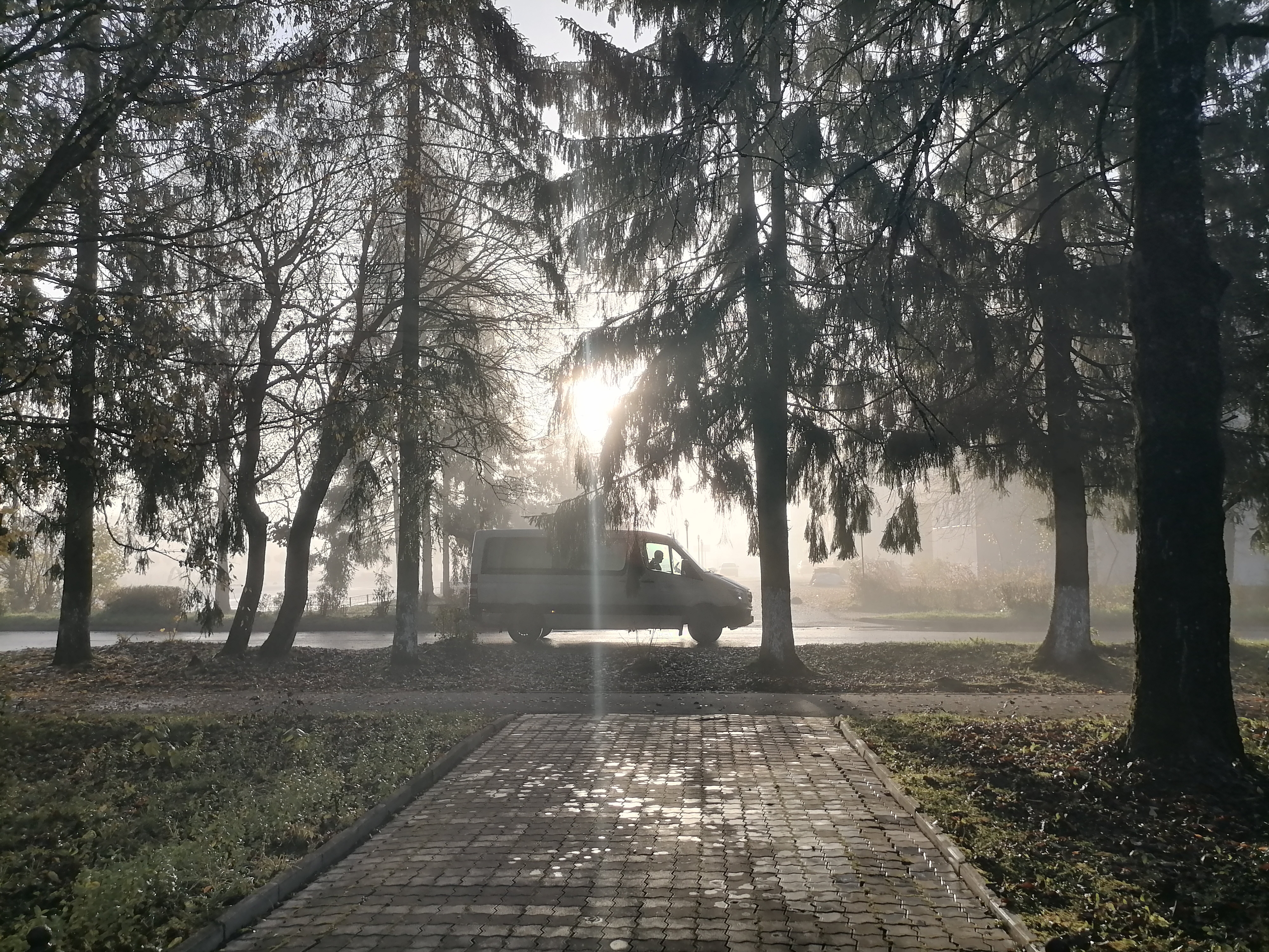 Фото Николаевский