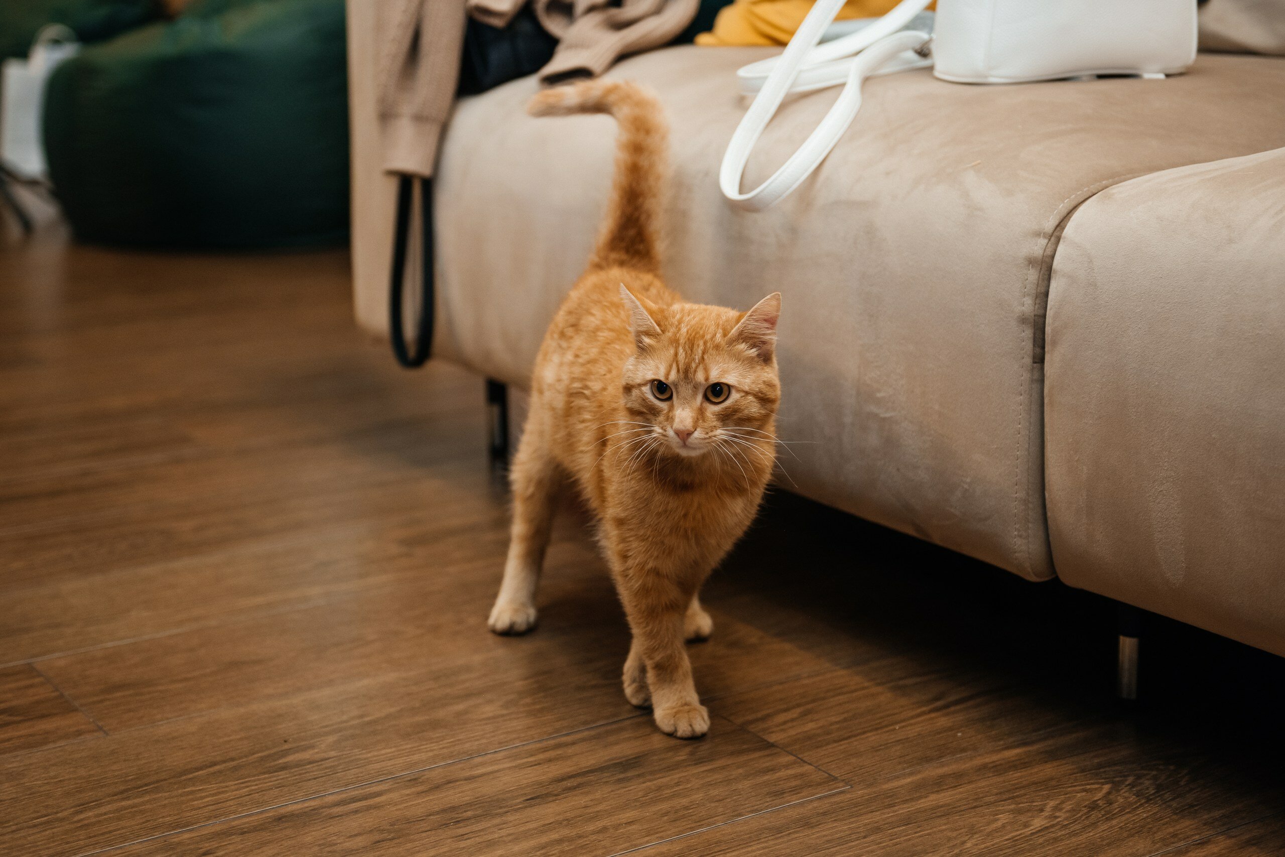 Фото Дом Barney's House