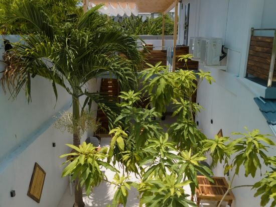 Фото Dhoani Maldives Guesthouse
