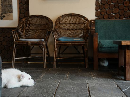 Фото Отель Darwin