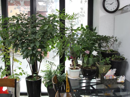 Фото Dream Guest House