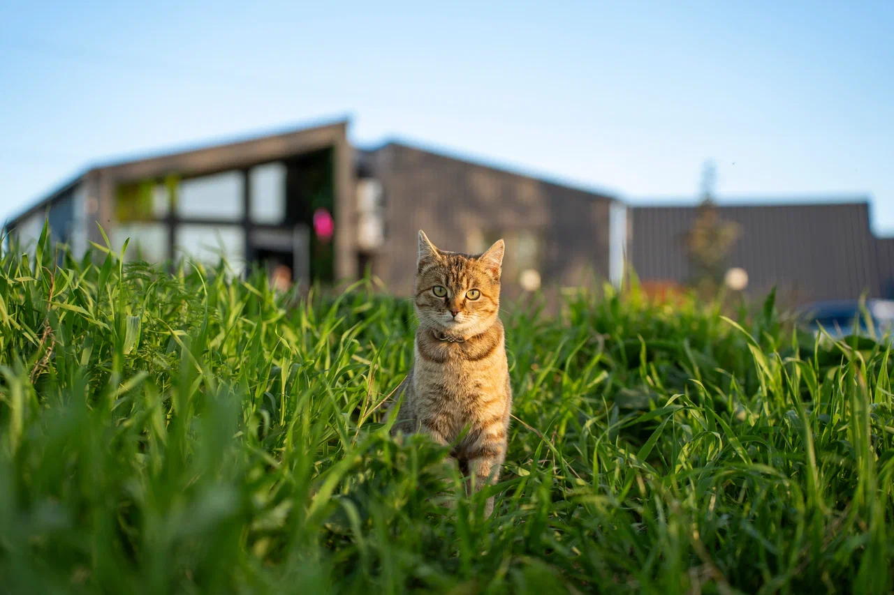 Фото Озёрное