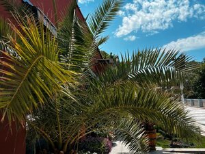 Гостиница Grand Hotel Plovdiv