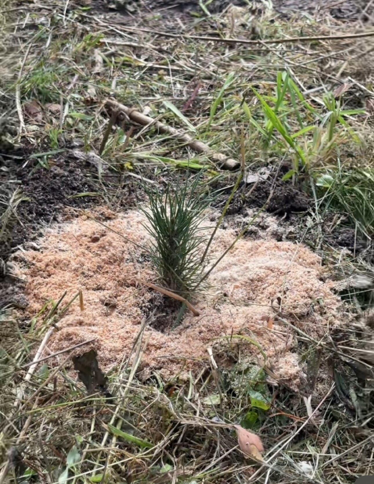 Фото Академия