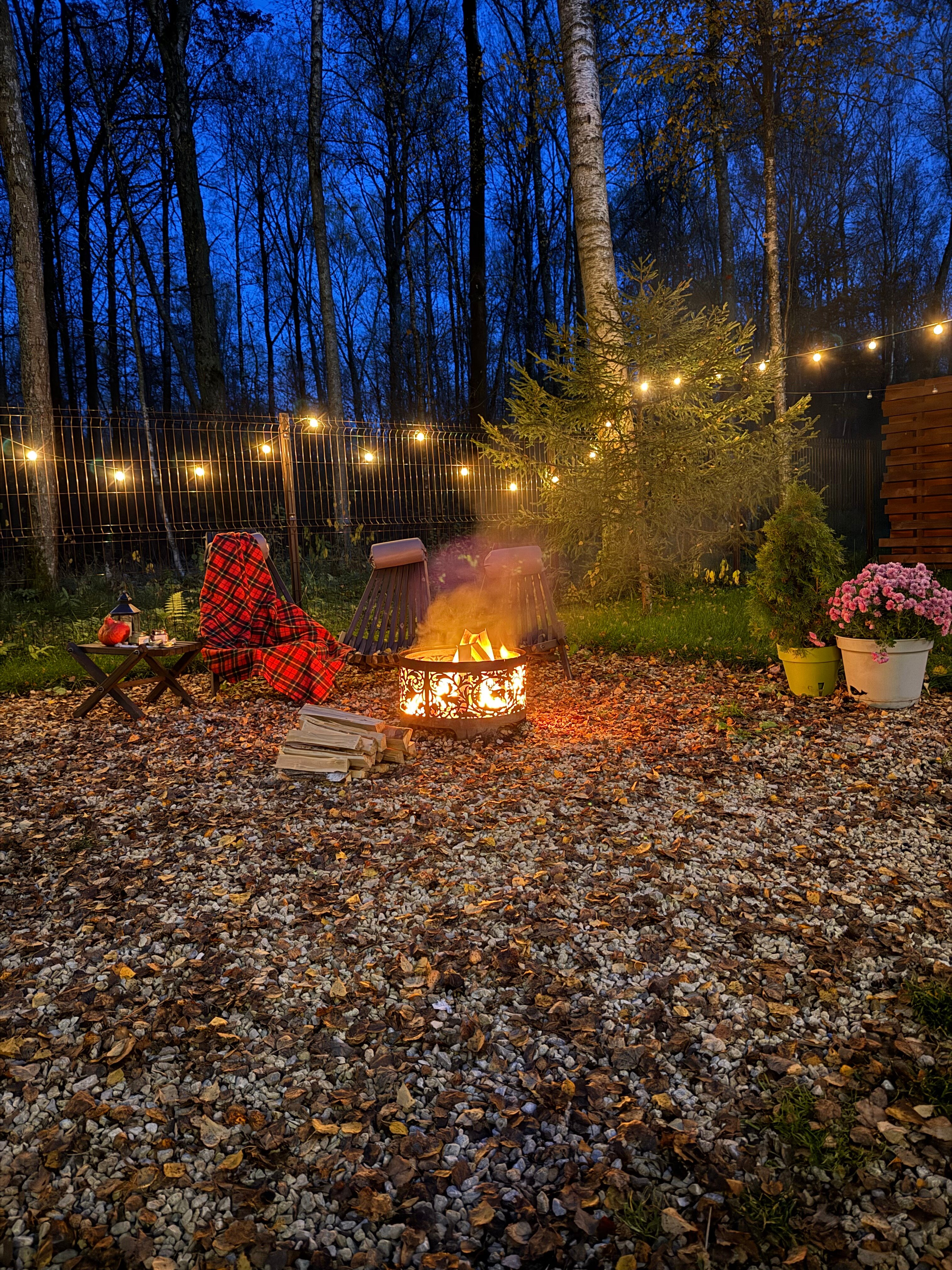 Фото Forest Glamp