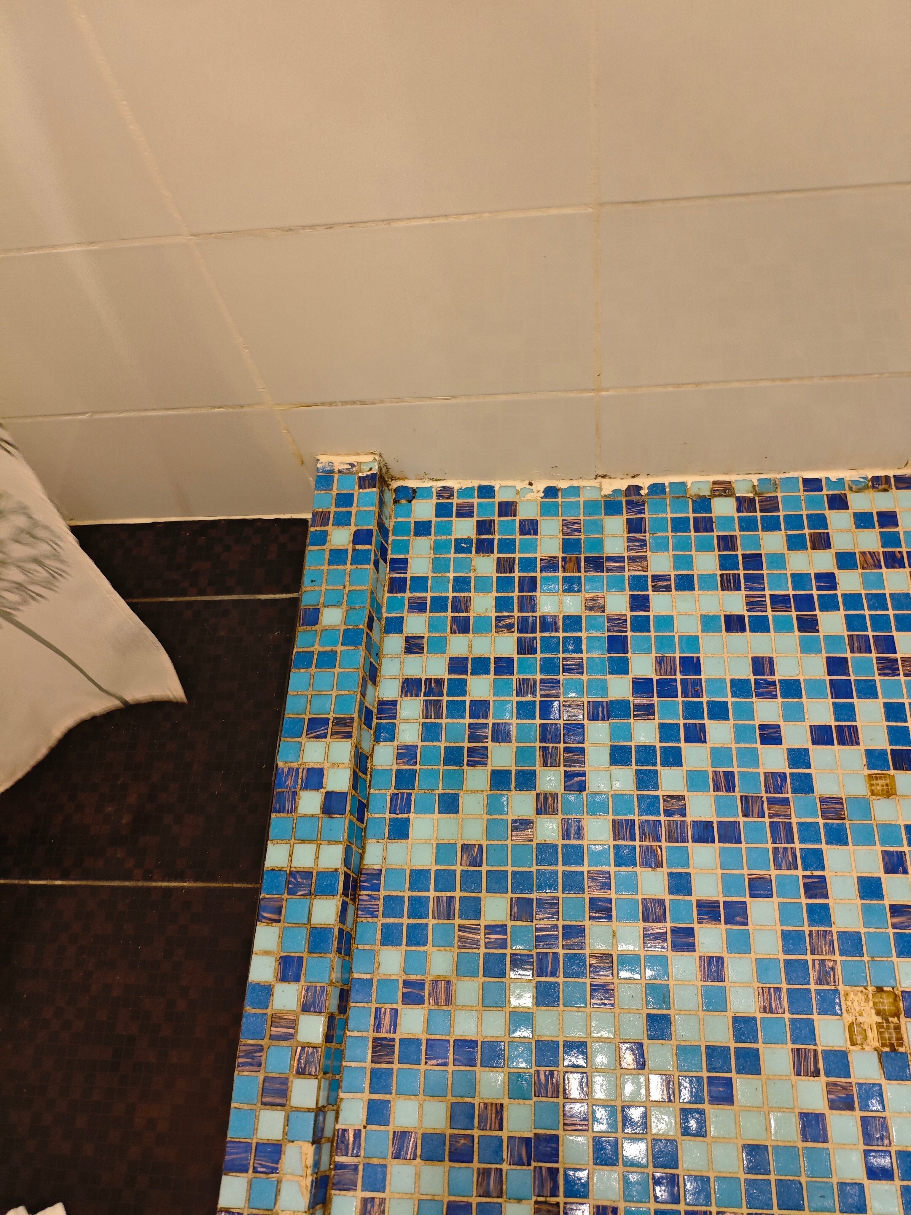 Фото Смоленка