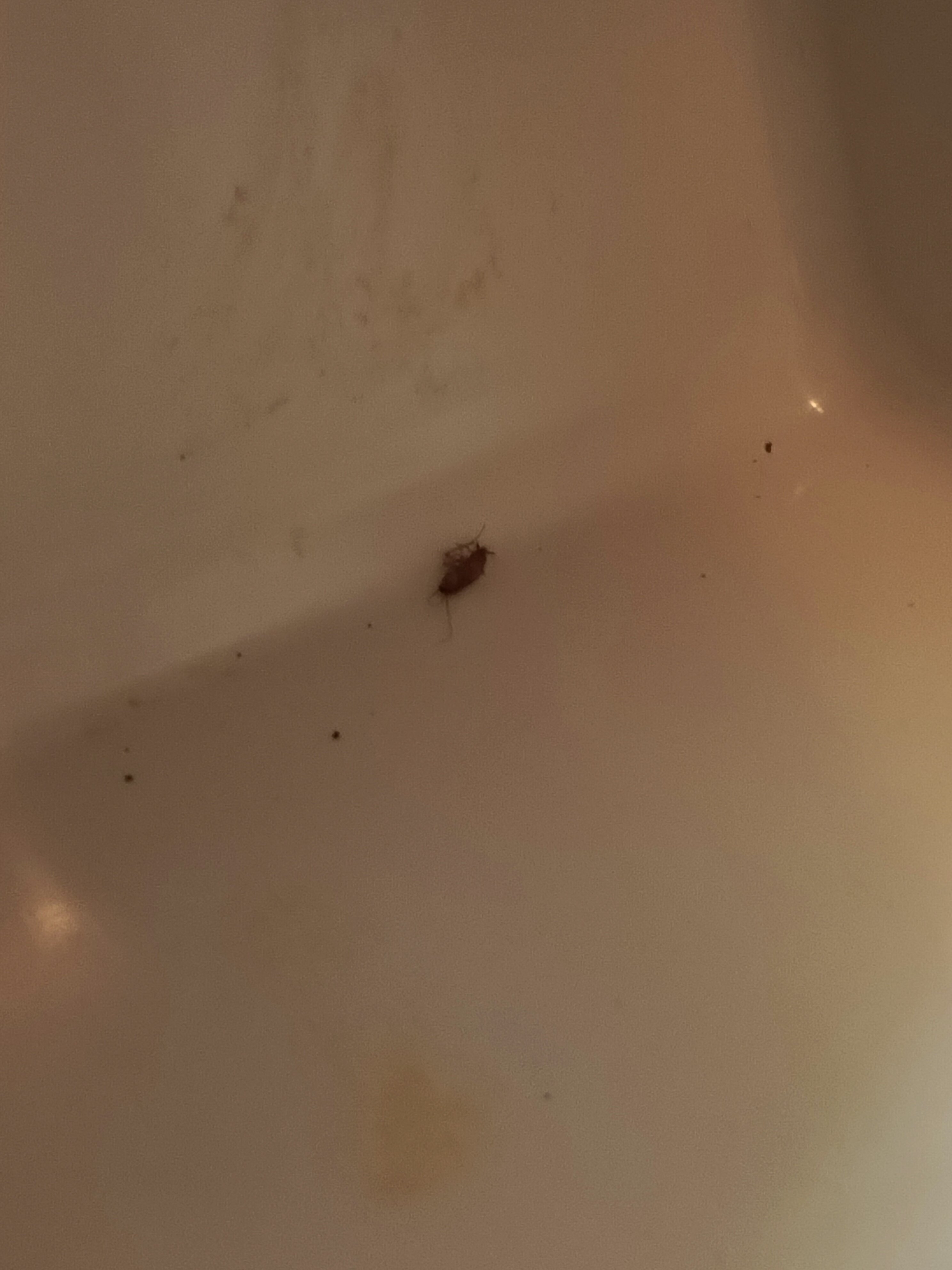 Фото Метро-Тур