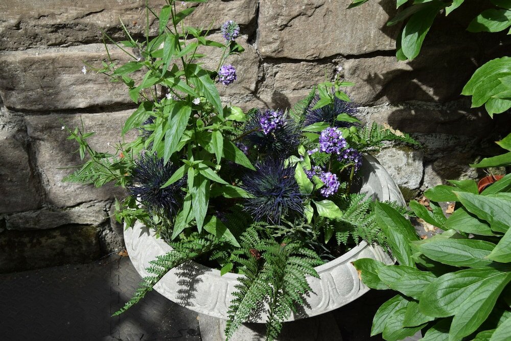 Фото Edinburgh 37