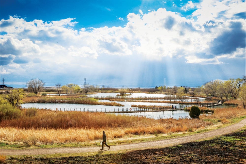 Фото Holiday Inn Denver East, an Ihg Hotel