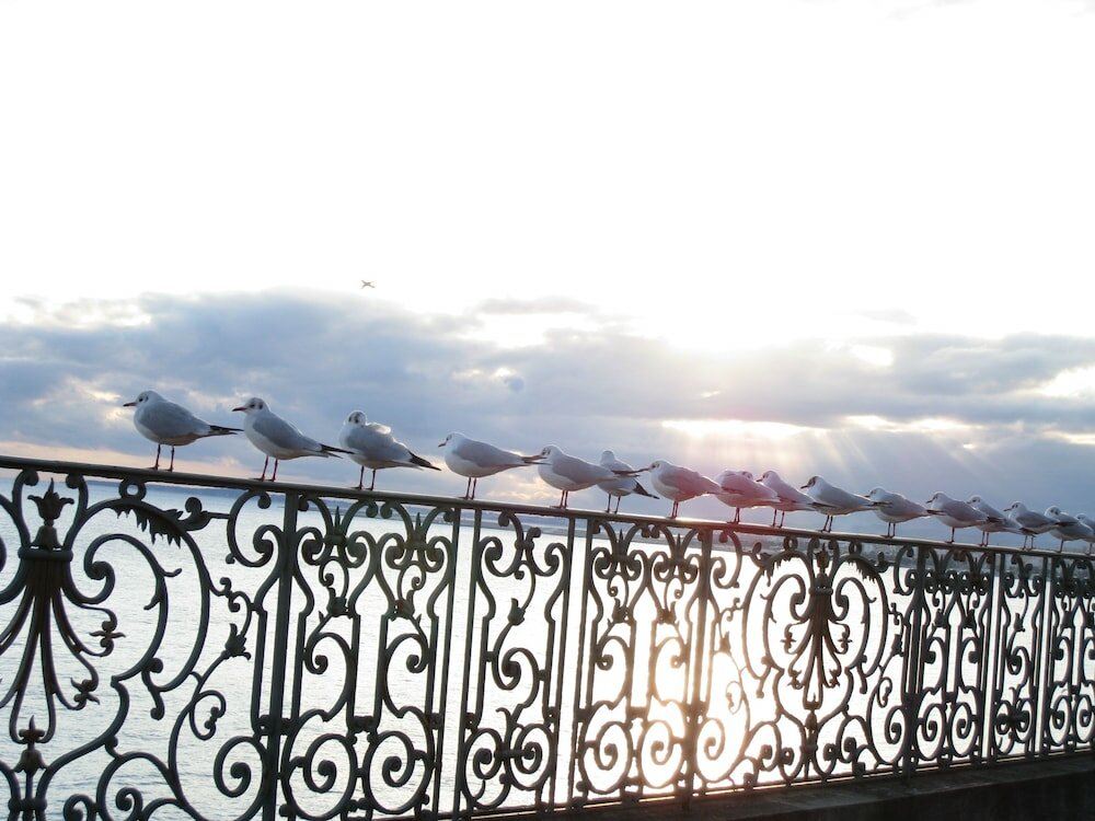 Фото Hôtel Vacances Bleues Le Royal