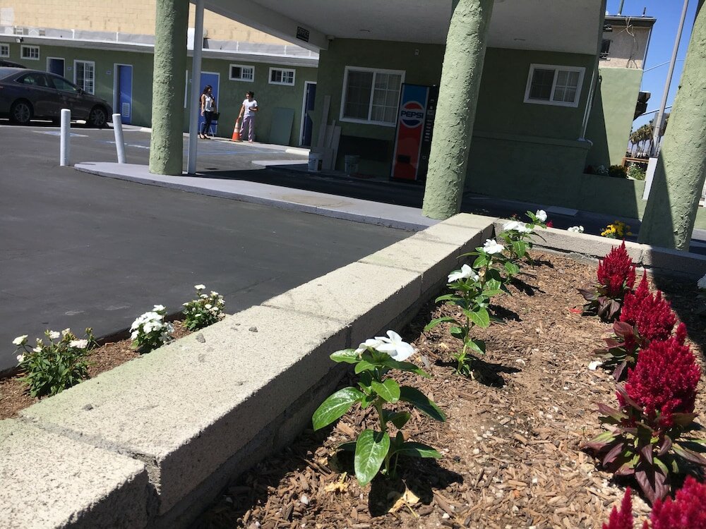 Фото Town House Motel