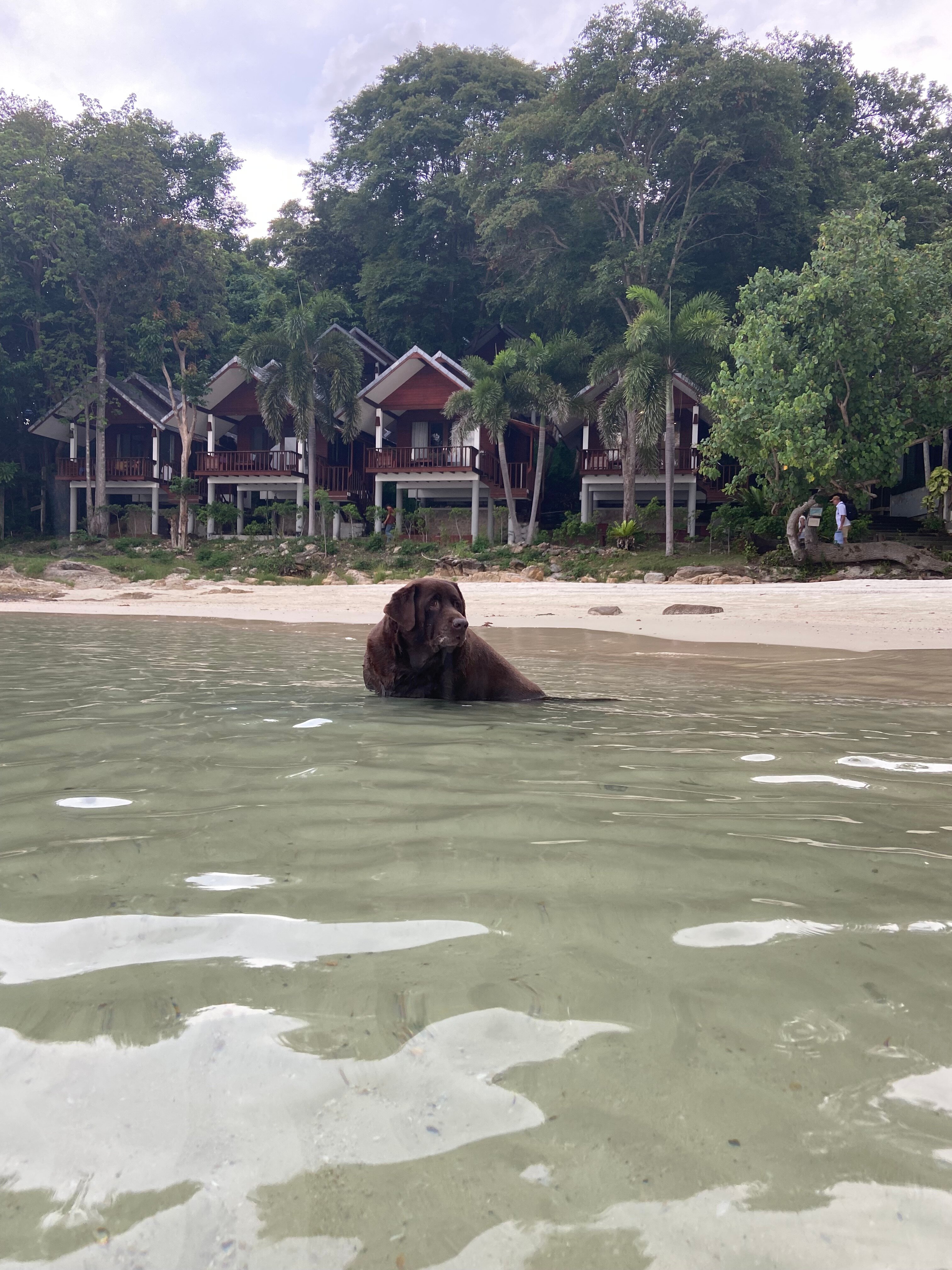 Фото Tubtim Resort