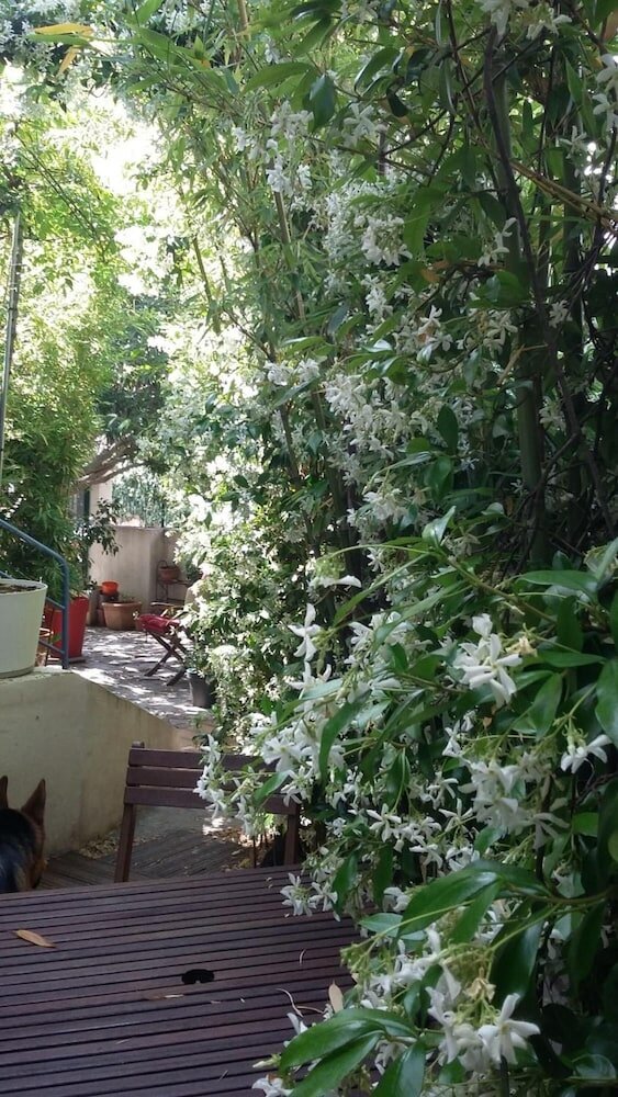 Фото Cielito Lindo