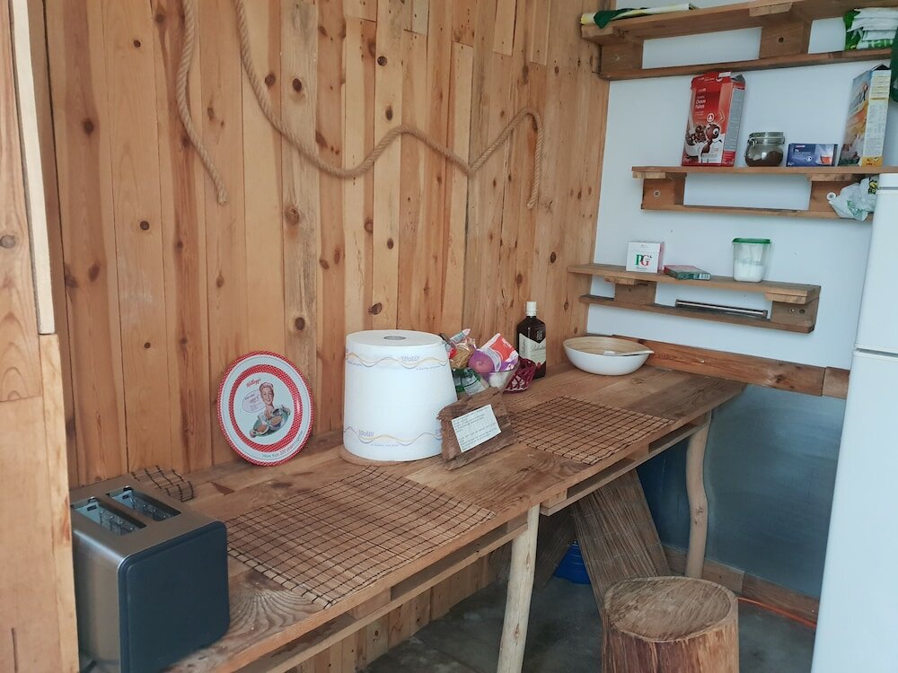 Фото Cactus Host