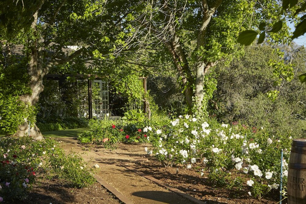 Фото The Devon Valley Hotel