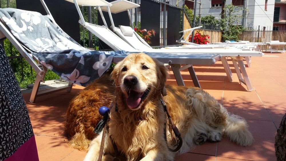 Фото Hotel Villa Igea