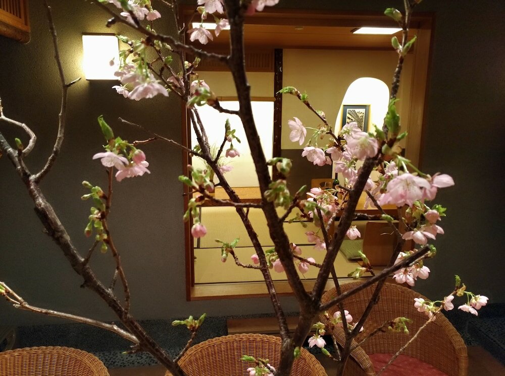 Фото Historical Ryokan Hostel K's House Ito Onsen