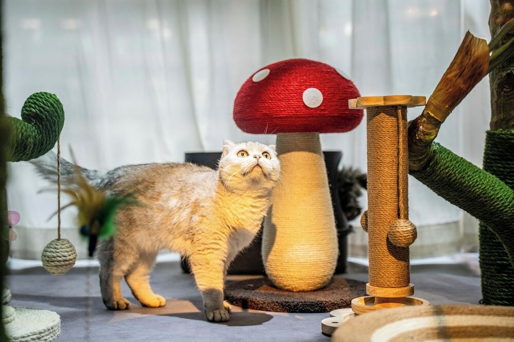 Фото HeSu Designer Hotel Xi'an Drum Tower & Yongning Gate Branch