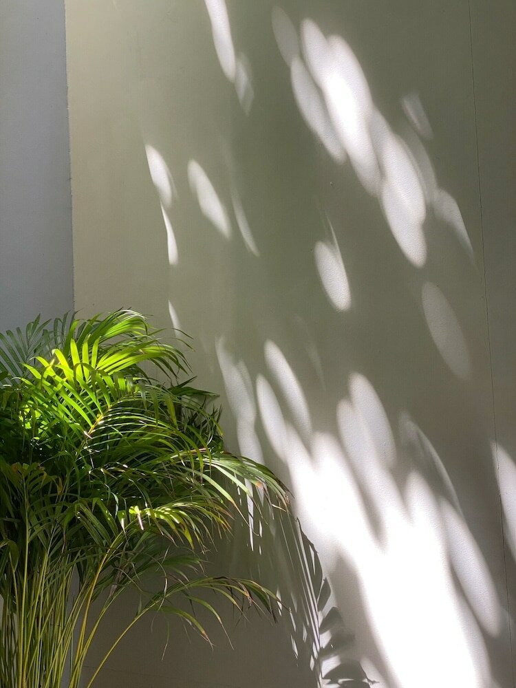 Фото Suncloud Hotel Koh Samet