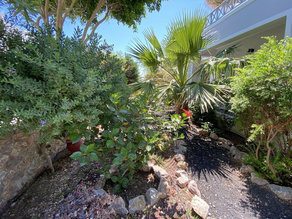 Фото Kalya Suites