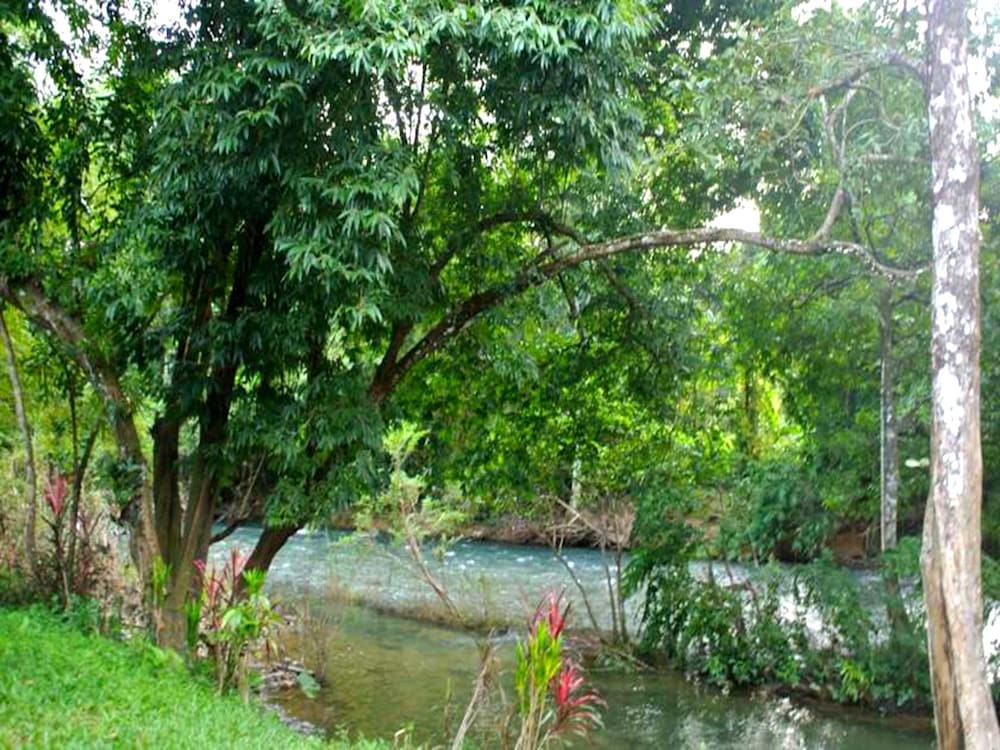 Фото Khao Sok Island Resort and SPA