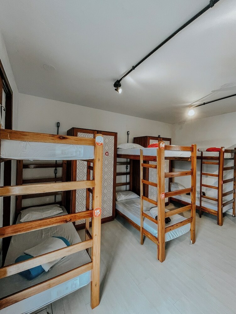 Фото Pup Hostel Sc