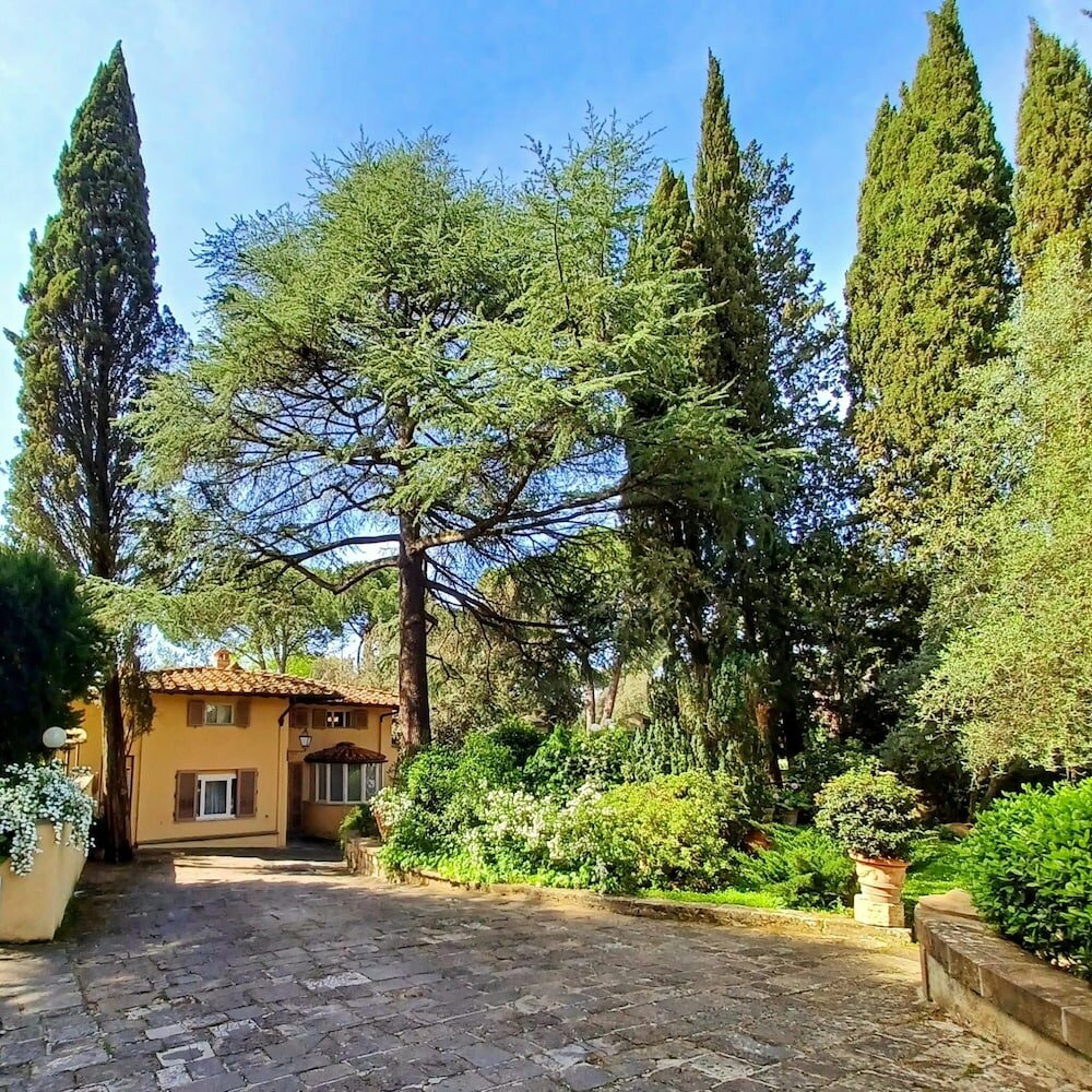 Фото Park Palace