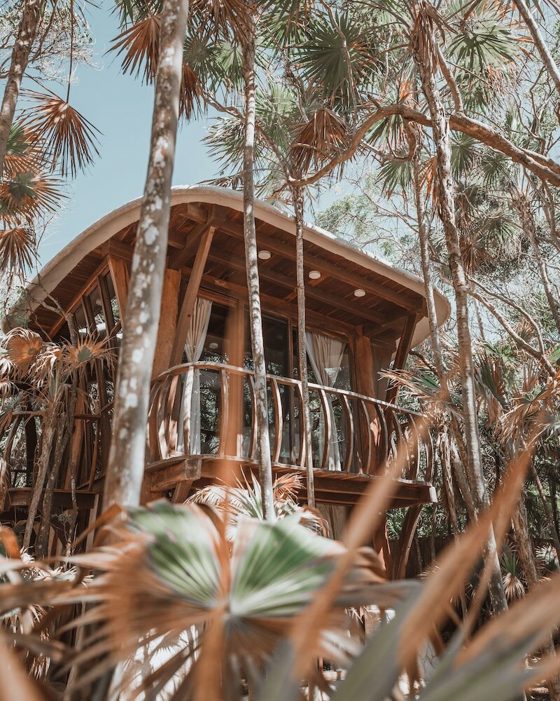 Фото Papaya Playa Project