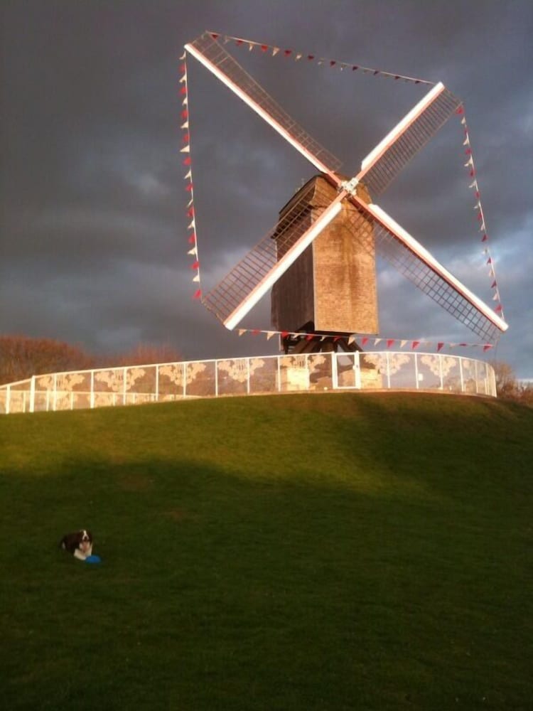 Фото отеля 5