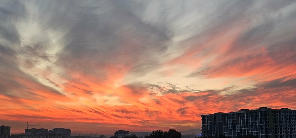 Chamber of commerce Andijan Regional Chamber of Producers and Entrepreneurs, Andijan, photo