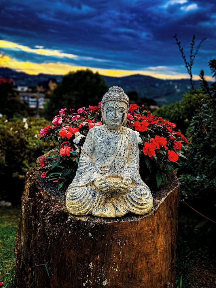 Фото Hotel Pousada Bella Locanda