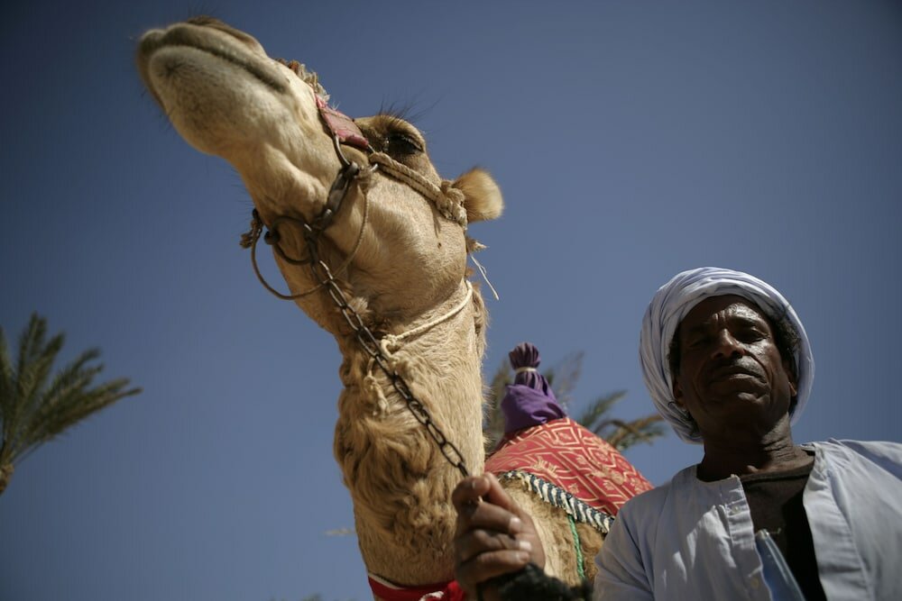 Фото Flamenco Beach and Resort