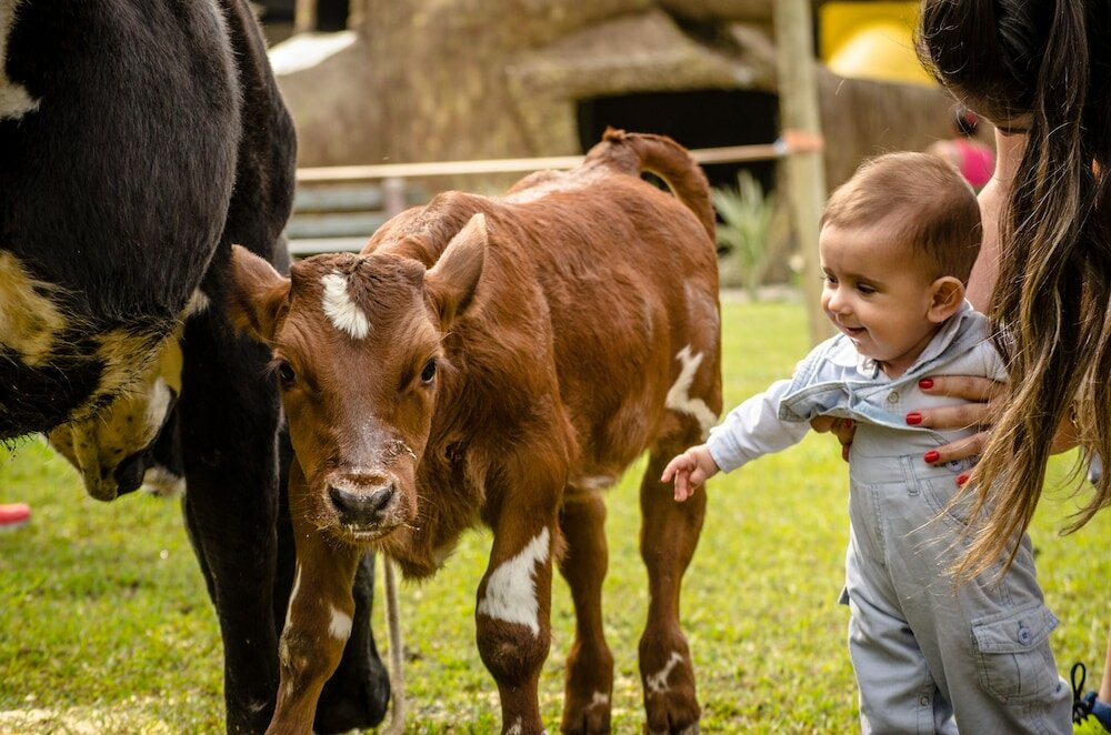 Фото Hotel Fazenda Dona Francisca