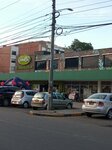 Carulla (Bogotá, Usaquén, Carrera 17, 151-44), supermarket