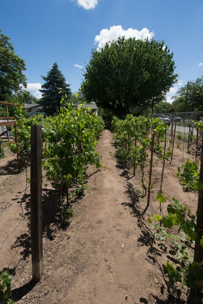 Фото Red Horse Bed and Breakfast