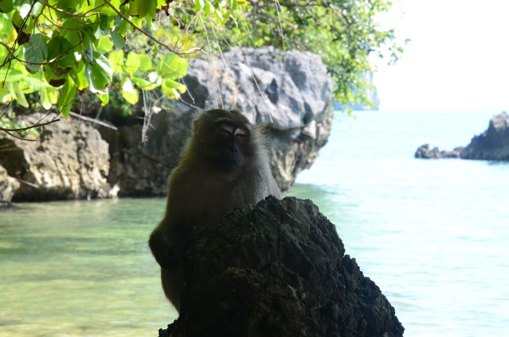 Фото Little Home AO Nang