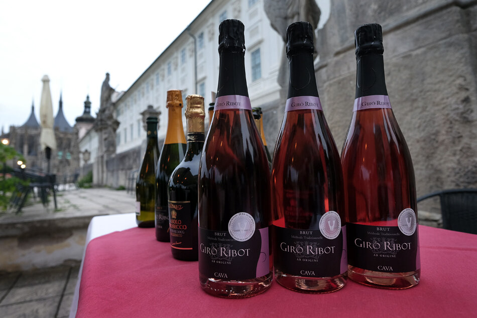 Фото Vila U Varhanáře