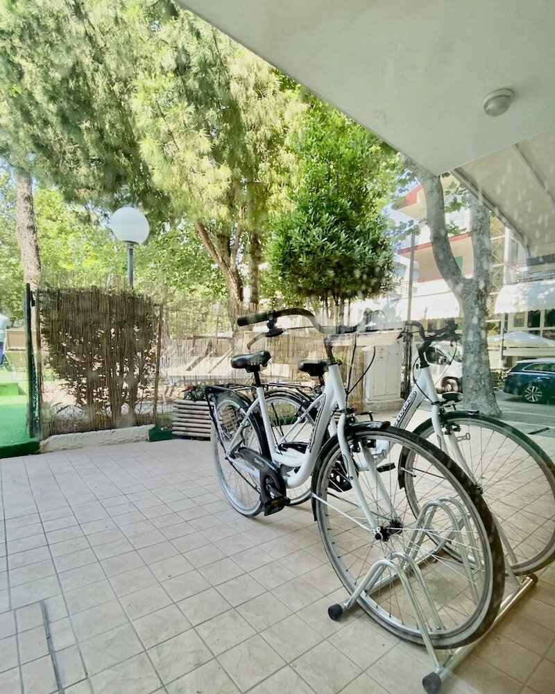 Фото Hotel Aiglon