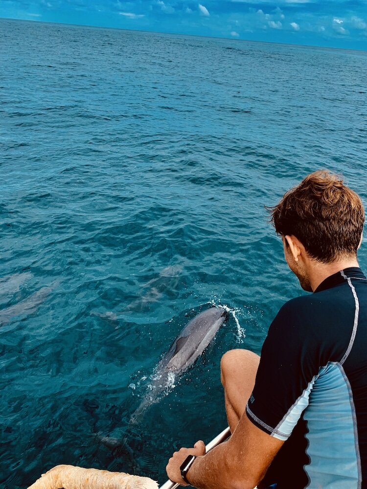 Фото The Barefoot Eco Hotel