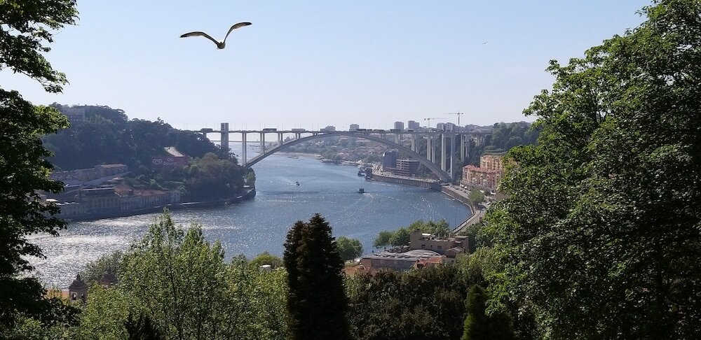 Фото Premium Porto Downtown