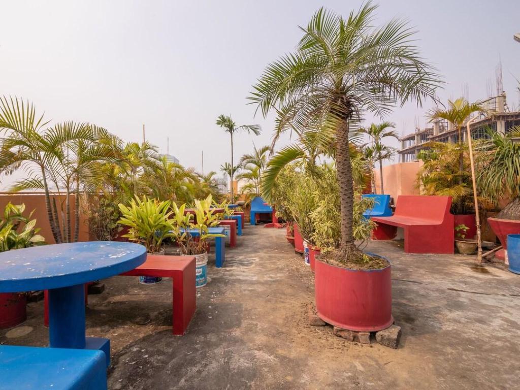 Фото Sunflower Guesthouse